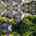 Blurred preview of media: 49