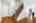 Blurred preview of media: 26