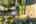 Blurred preview of media: 72-21290_SW_Eastview_Rd