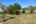 Blurred preview of media: IMG_4707