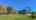 Blurred preview of media: IMG_2322