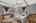 Blurred preview of media: 850_8540