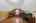 Blurred preview of media: 850_8589