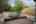 Blurred preview of media: 5106_Paseo_del_Pavon_044