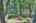 Blurred preview of media: 9zzz