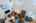 Blurred preview of media: 20250822_lg_JW0005
