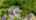 Blurred preview of media: DJI_20260501152313_0415_D