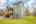 Blurred preview of media: PAX_0647