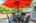 Blurred preview of media: 8 Stearns Road Upton Massachusetts Job 39706 0003