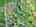 Blurred preview of media: DJI_20250602145433_0610_D_1_D_2_D_easyHDR