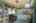 Blurred preview of media: 1-29