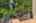 Blurred preview of media: 1-39