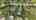 Blurred preview of media: 4_Randolph_Ct_0055