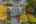 Blurred preview of media: 1-64