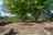 Blurred preview of media: BRRd-4