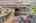Blurred preview of media: 1-11