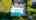 Blurred preview of media: 70