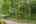 Blurred preview of media: 9-0_SW_Upper_Dr_vacantlot