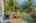 Blurred preview of media: 1-26