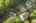 Blurred preview of media: 16 Abel Jones Place Acton Massachusetts Job 40418 0055