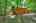 Blurred preview of media: IMG_0580_1_2_easyHDR