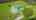 Blurred preview of media: DJI_0919