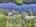 Blurred preview of media: DJI_20250616144755_0852_D_3_D_4_D_easyHDR