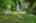 Blurred preview of media: DSC_6865