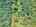 Blurred preview of media: DJI_20250802145519_0690_D_30_0691_D_30_0692_D_easyHDR