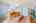 Blurred preview of media: 1-726-1099