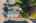 Blurred preview of media: 1-21