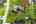 Blurred preview of media: 10_Ipixx_3