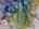 Blurred preview of media: DJI_20260329110554_0113_D_4_D_5_D_easyHDR