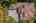 Blurred preview of media: Aerial 07