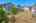 Blurred preview of media: 23