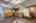 Blurred preview of media: 1793 Ivanhoe St 00034