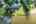 Blurred preview of media: DJI_0768 copy 2