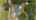 Blurred preview of media: 85208 Airplane Lane-68