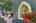 Blurred preview of media: IMG_5829