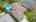 Blurred preview of media: k4