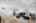 Blurred preview of media: DSC_6637