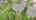 Blurred preview of media: DJI_20261001114201_0802_D_autoremove_65005066