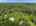 Blurred preview of media: 198 Borden Rd (2) copy