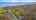 Blurred preview of media: 77