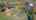 Blurred preview of media: DJI_0736