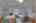 Blurred preview of media: 260071-19a