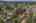Blurred preview of media: Aerial 05 Marker