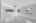 Blurred preview of media: DSC05212