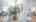 Blurred preview of media: IMG_9322
