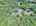 Blurred preview of media: DJI_20250728122440_0422_D_3_D_4_D_easyHDR